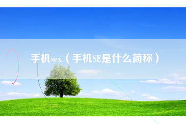 手机sex（手机SE是什么简称）