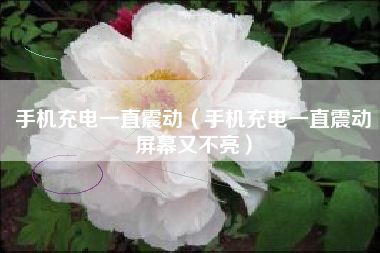 手机充电一直震动（手机充电一直震动屏幕又不亮）