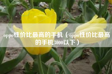 oppo性价比最高的手机（oppo性价比最高的手机3000以下）