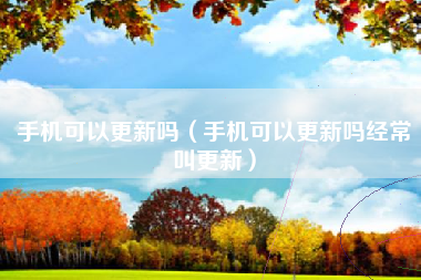 手机可以更新吗（手机可以更新吗经常叫更新）