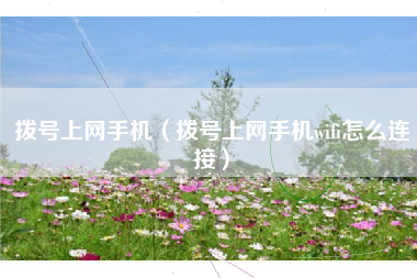 拨号上网手机（拨号上网手机wifi怎么连接）