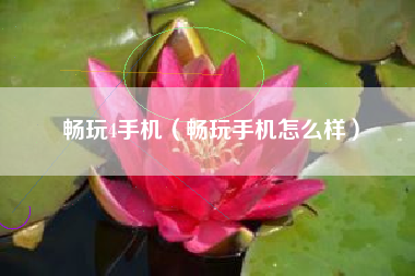 畅玩4手机（畅玩手机怎么样）