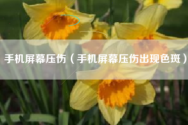 手机屏幕压伤（手机屏幕压伤出现色斑）