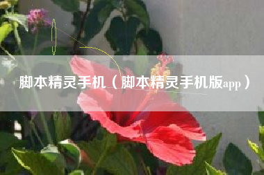脚本精灵手机（脚本精灵手机版app）