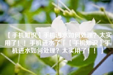 【手机知识】手机进水如何处理？太实用了！！手机进水了「【手机知识】手机进水如何处理？太实用了！！」