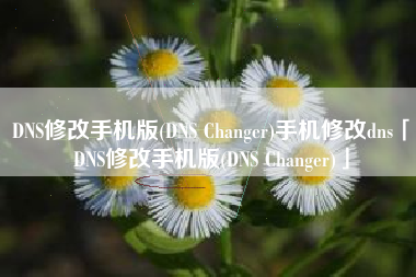 DNS修改手机版(DNS Changer)手机修改dns「DNS修改手机版(DNS Changer)」