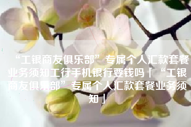 “工银商友俱乐部”专属个人汇款套餐业务须知工行手机银行要钱吗「“工银商友俱乐部”专属个人汇款套餐业务须知」