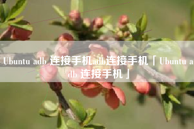 Ubuntu adb 连接手机adb连接手机「Ubuntu adb 连接手机」