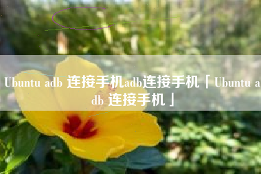 Ubuntu adb 连接手机adb连接手机「Ubuntu adb 连接手机」