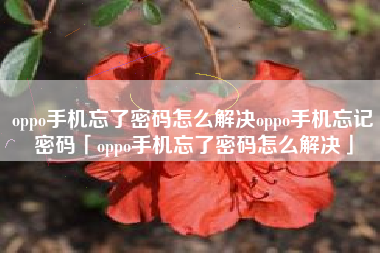 oppo手机忘了密码怎么解决oppo手机忘记密码「oppo手机忘了密码怎么解决」