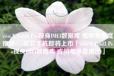 vivo X Fold3 Pro现身IMEI数据库 或明年季度推出vivo新款手机即将上市「vivo X Fold3 Pro现身IMEI数据库 或明年季度推出」