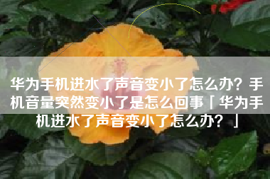 华为手机进水了声音变小了怎么办?手机音量突然变小了是怎么回事「华为手机进水了声音变小了怎么办?」 华为手机进水了声音变小了怎么办?手机音量突然变小了是怎么回事「华为手机进水了声音变小了怎么办?」
