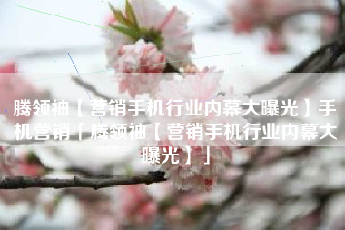 腾领袖【营销手机行业内幕大曝光】手机营销「腾领袖【营销手机行业内幕大曝光】」