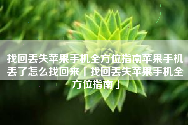 找回丢失苹果手机全方位指南苹果手机丢了怎么找回来「找回丢失苹果手机全方位指南」