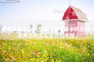 苹果手机怎么备份到电脑苹果手机备份「苹果手机怎么备份到电脑」