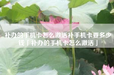 补办的手机卡怎么激活补手机卡要多少钱「补办的手机卡怎么激活」