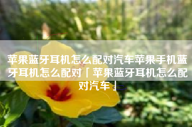 苹果蓝牙耳机怎么配对汽车苹果手机蓝牙耳机怎么配对「苹果蓝牙耳机怎么配对汽车」