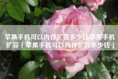 苹果手机可以内存扩容多少钱苹果手机扩容「苹果手机可以内存扩容多少钱」