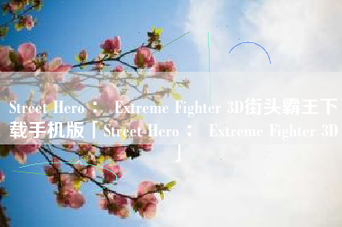 Street Hero ： Extreme Fighter 3D街头霸王下载手机版「Street Hero ： Extreme Fighter 3D」