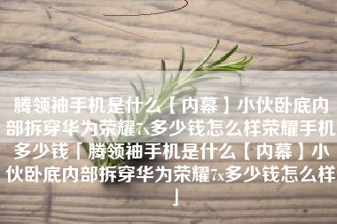 腾领袖手机是什么【内幕】小伙卧底内部拆穿华为荣耀7x多少钱怎么样荣耀手机多少钱「腾领袖手机是什么【内幕】小伙卧底内部拆穿华为荣耀7x多少钱怎么样」