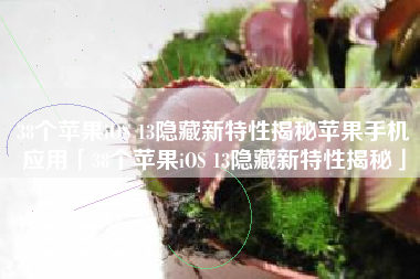 38个苹果iOS 13隐藏新特性揭秘苹果手机应用「38个苹果iOS 13隐藏新特性揭秘」
