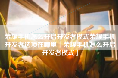 荣耀手机怎么开启开发者模式荣耀手机开发者选项在哪里「荣耀手机怎么开启开发者模式」