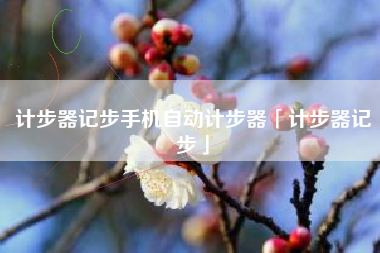 计步器记步手机自动计步器「计步器记步」 计步器记步手机自动计步器「计步器记步」