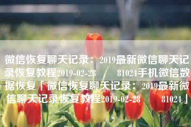 微信恢复聊天记录：2019最新微信聊天记录恢复教程2019-02-28　　81024手机微信数据恢复「微信恢复聊天记录：2019最新微信聊天记录恢复教程2019-02-28　　81024」