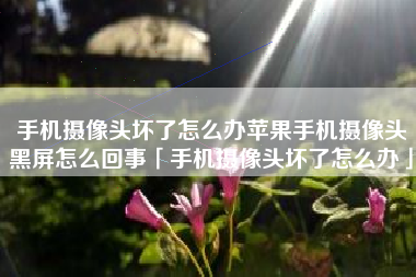 手机摄像头坏了怎么办苹果手机摄像头黑屏怎么回事「手机摄像头坏了怎么办」