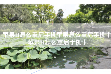 苹果11怎么重启手机苹果怎么重启手机「苹果11怎么重启手机」