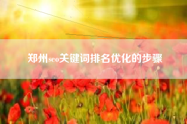 郑州seo关键词排名优化的步骤