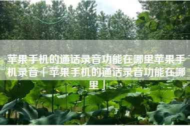 苹果手机的通话录音功能在哪里苹果手机录音「苹果手机的通话录音功能在哪里」