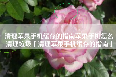 清理苹果手机缓存的指南苹果手机怎么清理垃圾「清理苹果手机缓存的指南」