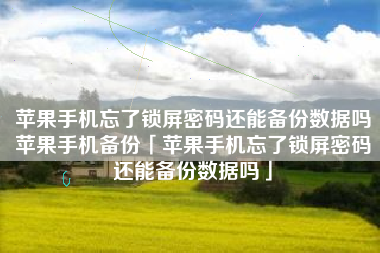 苹果手机忘了锁屏密码还能备份数据吗苹果手机备份「苹果手机忘了锁屏密码还能备份数据吗」