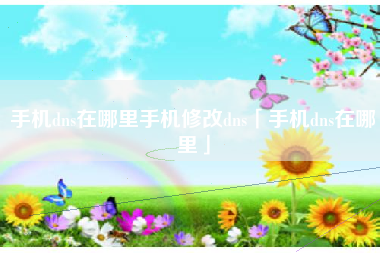 手机dns在哪里手机修改dns「手机dns在哪里」