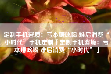定制手机窘境：亏本赚吆喝 难启消费“小时代”手机定制「定制手机窘境：亏本赚吆喝 难启消费“小时代”」