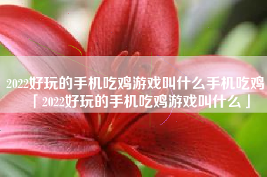 2022好玩的手机吃鸡游戏叫什么手机吃鸡「2022好玩的手机吃鸡游戏叫什么」 2022好玩的手机吃鸡游戏叫什么手机吃鸡「2022好玩的手机吃鸡游戏叫什么」