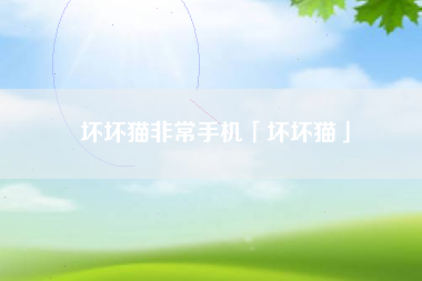 坏坏猫非常手机「坏坏猫」