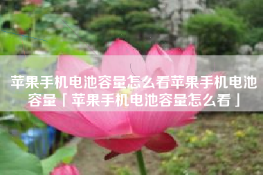 苹果手机电池容量怎么看苹果手机电池容量「苹果手机电池容量怎么看」
