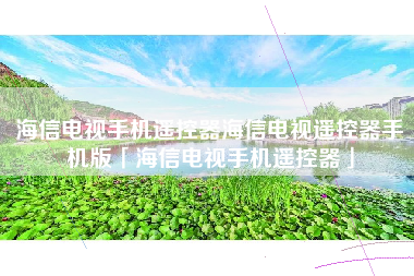 海信电视手机遥控器海信电视遥控器手机版「海信电视手机遥控器」