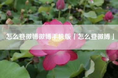 怎么登微博微博手机版「怎么登微博」