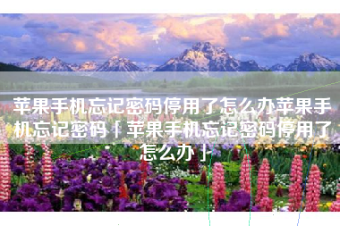 苹果手机忘记密码停用了怎么办苹果手机忘记密码「苹果手机忘记密码停用了怎么办」