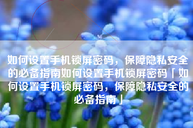 如何设置手机锁屏密码，保障隐私安全的必备指南如何设置手机锁屏密码「如何设置手机锁屏密码，保障隐私安全的必备指南」