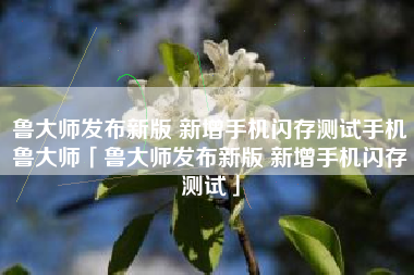 鲁大师发布新版 新增手机闪存测试手机鲁大师「鲁大师发布新版 新增手机闪存测试」