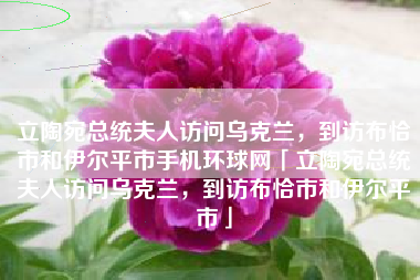 立陶宛总统夫人访问乌克兰，到访布恰市和伊尔平市手机环球网「立陶宛总统夫人访问乌克兰，到访布恰市和伊尔平市」