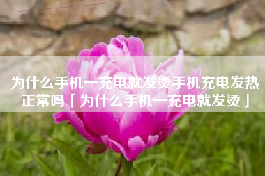 为什么手机一充电就发烫手机充电发热正常吗「为什么手机一充电就发烫」