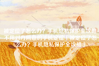 被定位了怎么办？手机隐私保护全攻略不用对方同意的手机定位「被定位了怎么办？手机隐私保护全攻略」
