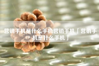 营销手机是什么手机营销手机「营销手机是什么手机」