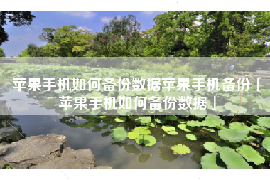 苹果手机如何备份数据苹果手机备份「苹果手机如何备份数据」