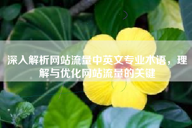深入解析网站流量中英文专业术语，理解与优化网站流量的关键